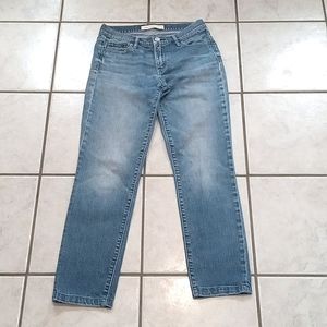 Gap 1969 Real Straight Jean